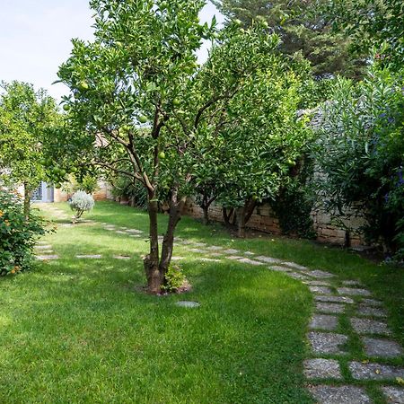 Domus Templaris Bed & Breakfast Terlizzi Bagian luar foto
