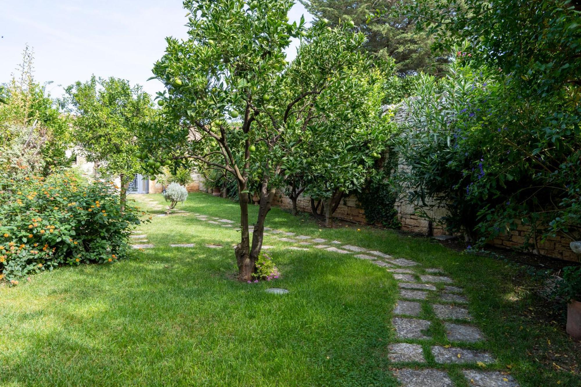 Domus Templaris Bed & Breakfast Terlizzi Bagian luar foto